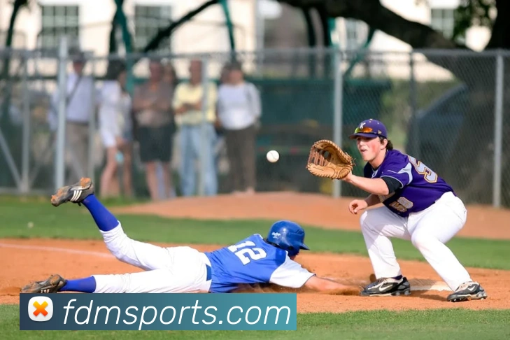 体育下注平台生态图